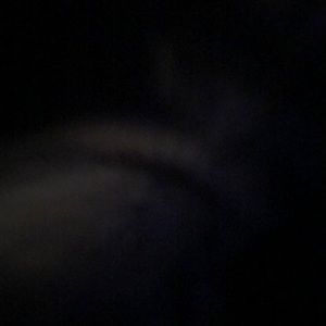 Meet your Posher, Ricky